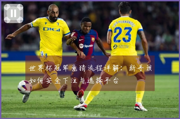 世界杯冠军竞猜流程详解：新手该如何安全下注与选择平台