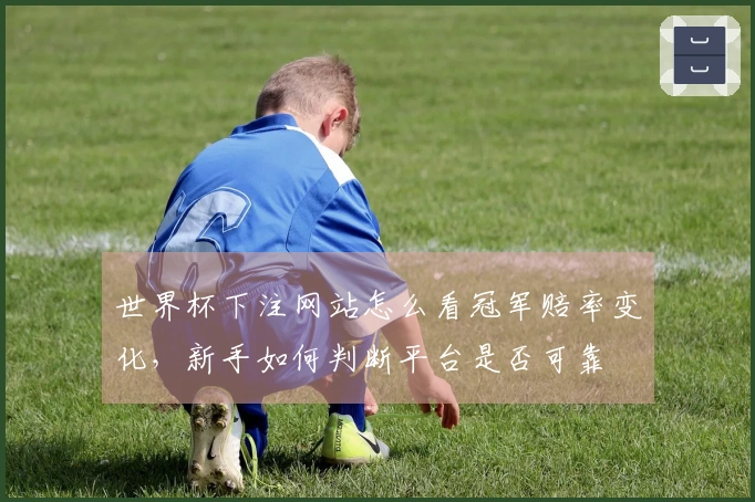世界杯下注网站怎么看冠军赔率变化，新手如何判断平台是否可靠