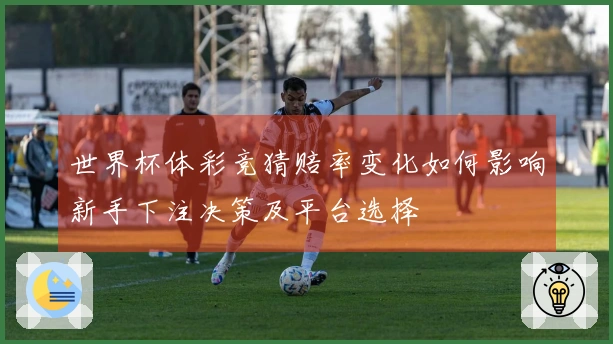 世界杯体彩竞猜赔率变化如何影响新手下注决策及平台选择