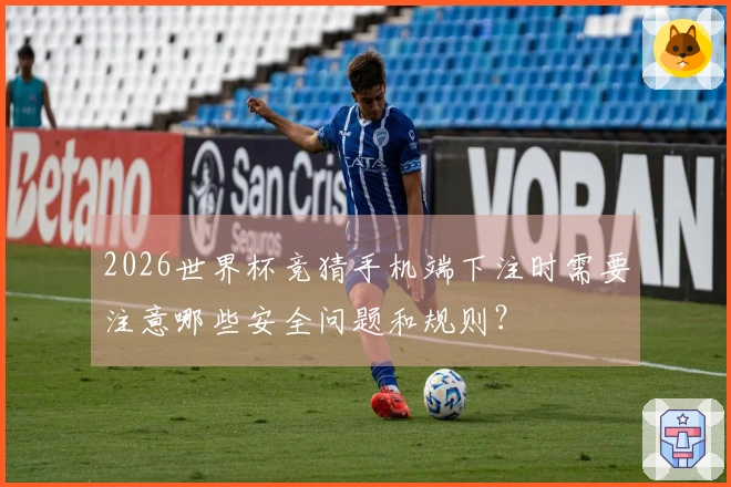 2026世界杯竞猜手机端下注时需要注意哪些安全问题和规则？