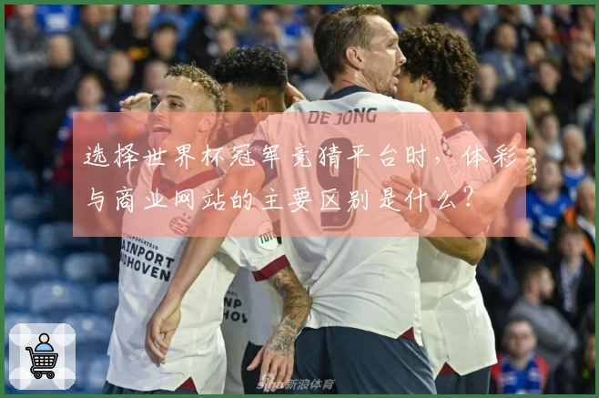 选择世界杯冠军竞猜平台时，体彩与商业网站的主要区别是什么？