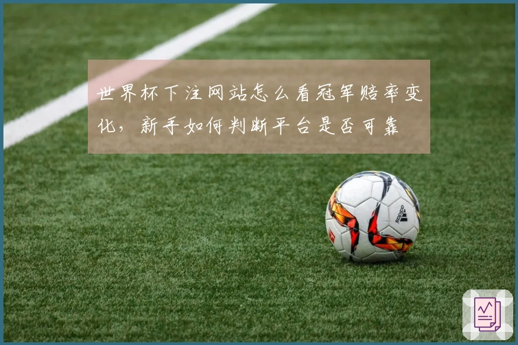世界杯下注网站怎么看冠军赔率变化，新手如何判断平台是否可靠
