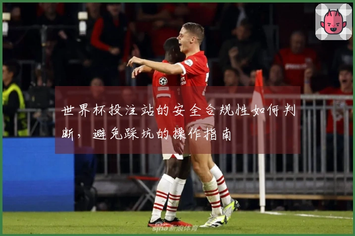 世界杯投注站的安全合规性如何判断，避免踩坑的操作指南